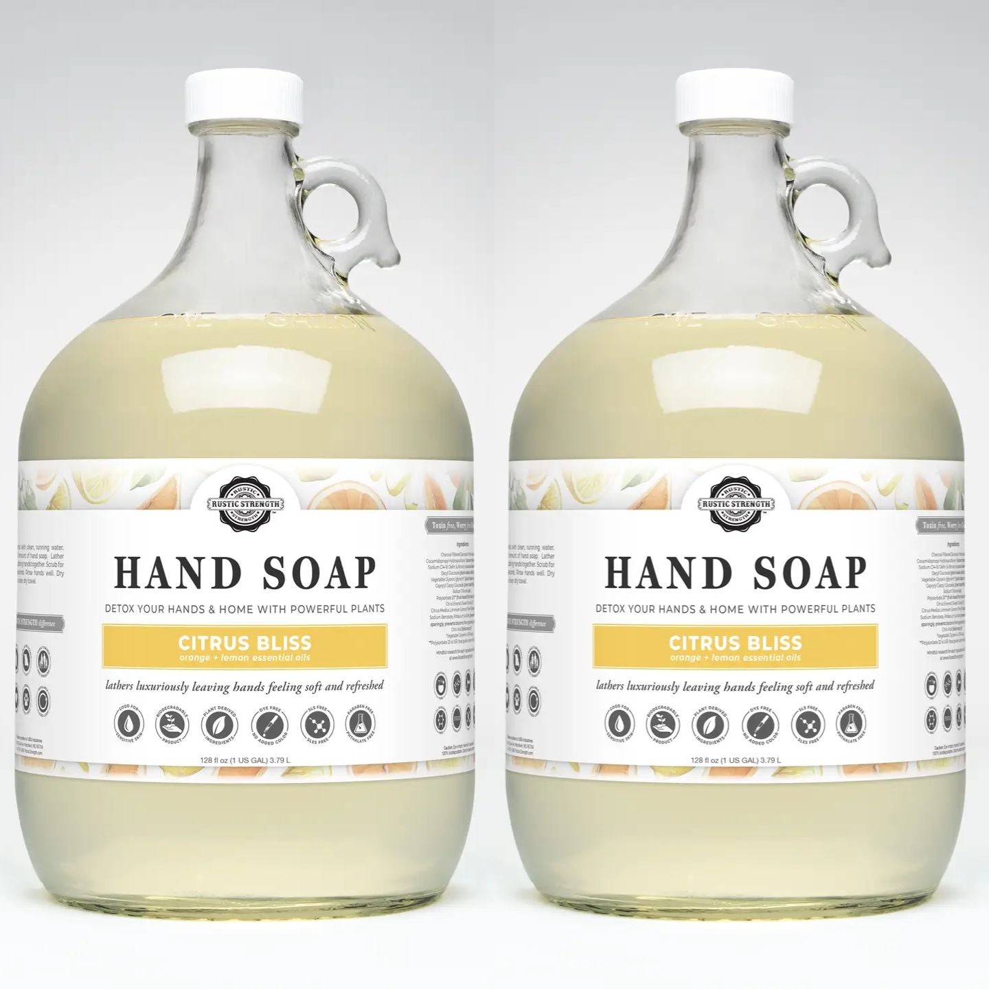Plant-Based Hand Soap | Eco-Friendly in Glass Bottle (Two Pack)