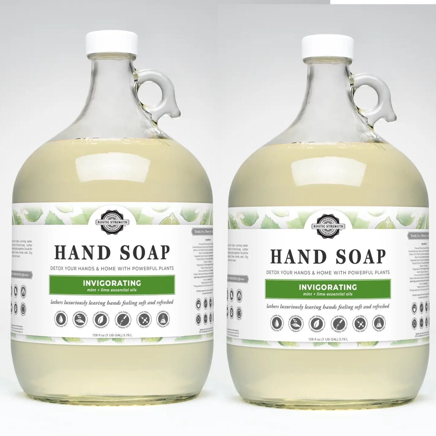 Plant-Based Hand Soap | Eco-Friendly in Glass Bottle (Two Pack)