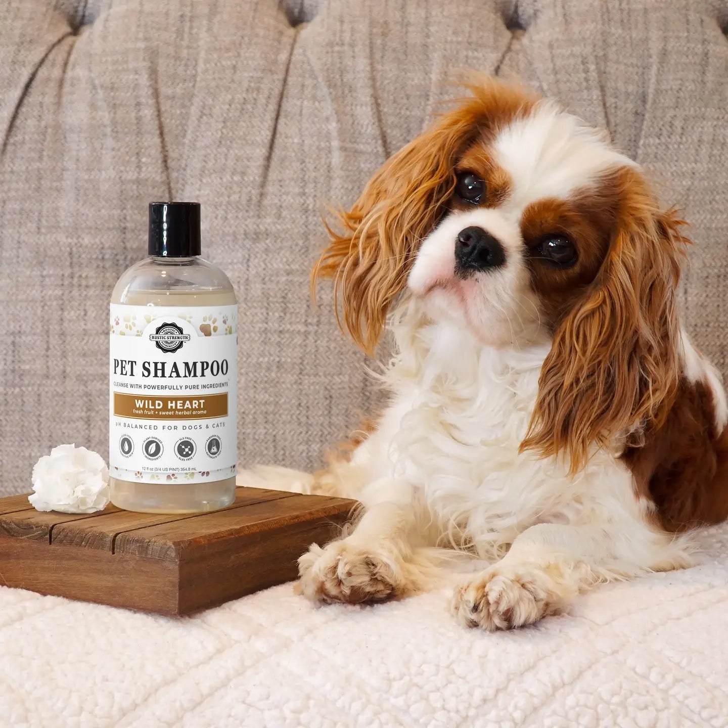 Pet Shampoo | Soothing & Deodorizing for Cats & Dogs